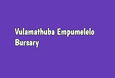 Vulamathuba Empumelelo Bursary