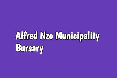 Alfred Nzo Municipality Bursary