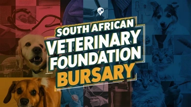 SAVF Bursary