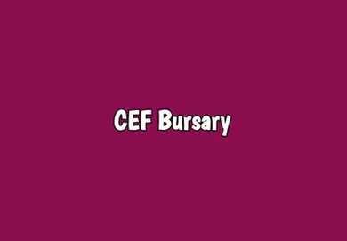 Central Energy Fund (CEF) Bursary