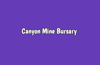 Canyon Bekezela Coal Mine Bursary