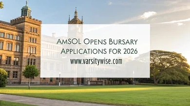 AMSOL Bursary